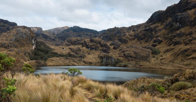 España pierde el 22% de sus lagunas temporales por el cambio climático y la agricultura