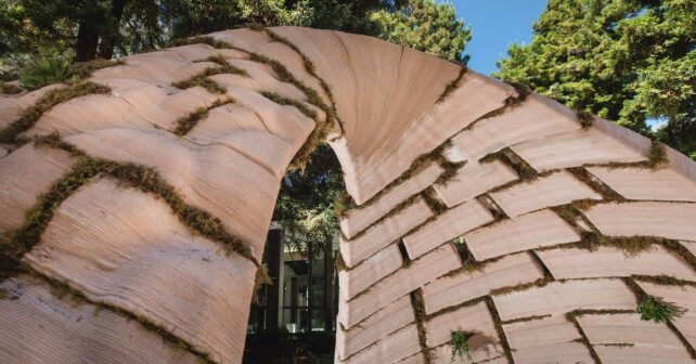 Photo de Nicholas Lea Bruno, avec l'aimable autorisation de l'ICA SF