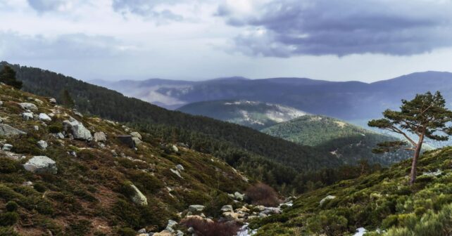 L'expansion du parc national de la Sierra de Guadarrama en zones protégées augmente sa valeur écologique