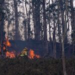 La Cantabrie enregistre 26 incendies de forêt actifs et un risque extrême jusqu'à vendredi malgré les pluies