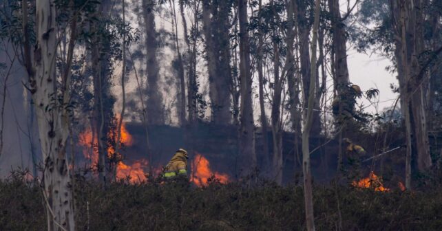 Cantabria registra 26 incendios forestales activos y riesgo extremo hasta el viernes en montes