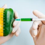 La Journée internationale d'opposition aux OGM 2026 et à leurs risques pour la santé, l'environnement et l'agriculture se concentre sur l'impact réel des OGM