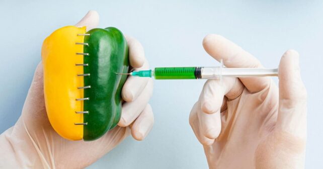 día internacional oposicion transgenicos riesgos salud medio ambiente agricultura cultivos omg