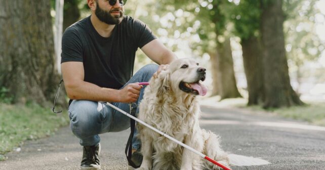 Día Internacional del Perro Guía 2026