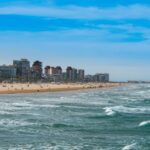 La Méditerranée dans une situation extrême en raison de la perte de biodiversité et de la pression humaine perd jusqu'à 90% des espèces