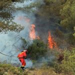 La Rioja a besoin d'un pacte urgent pour prévenir les incendies de forêt et mettre fin au dépeuplement rural face au changement climatique