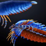 La découverte du plus ancien fossile d'arthropode modifie l'évolution de l'araignée de 20 millions d'années