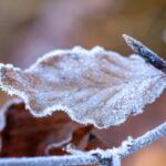 La météo aujourd'hui 12 avril en Espagne avec effondrement thermique et chutes de neige : changement radical avec froid à la mi-avril