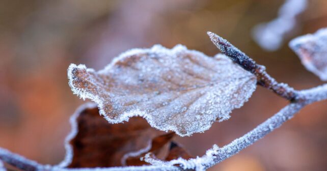 tiempo España nieve abril descenso temperaturas viento lluvia