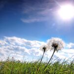 La météo aujourd'hui, 14 avril, en Espagne : chaleur plus généralisée et rafales de vent intenses