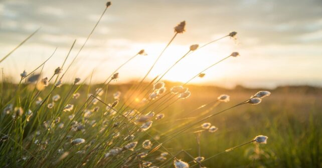 El tiempo hoy 28 de abril en España