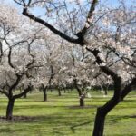 La météo en Espagne aujourd'hui, 31 mars, les températures augmentent et il pleut dans le nord tandis que le sud avoisine les 25 degrés