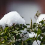 La météo en Espagne, dimanche 19 avril, avec de forts orages, de la grêle et une chaleur anormale : prévisions par région