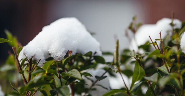 tormentas granizo mapa españa meteorologia aemet