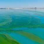 La pollution diffuse du bassin du Segura dans la planification hydrologique sera le plus grand défi environnemental