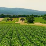 Le I Congrès sur l'Agriculture et la Biodiversité promeut la transition agraire durable en Espagne et redéfinit le modèle rural