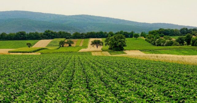 I Congreso de Agricultura y Biodiversidad impulsa la transición agraria sostenible en España