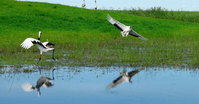 El Plan Especial del Alto Guadiana impulsa la sostenibilidad de los acuíferos en Castilla-La Mancha como modelo hídrico