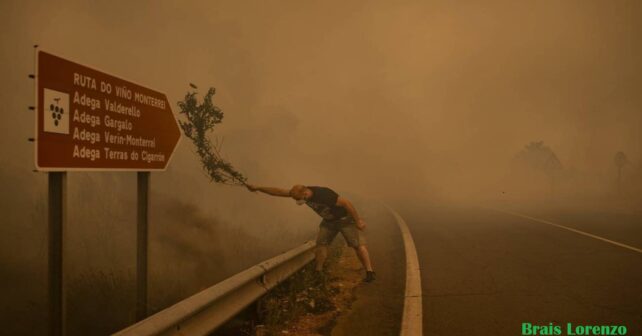 incendios Galicia 2025 Tierra quemada Brais Lorenzo World Press Photo