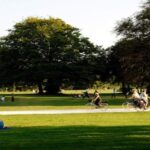 Le biomarathon international de printemps vous invite à découvrir la biodiversité urbaine du monde entier et connecte des milliers de personnes avec la nature