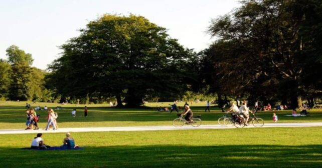 el biomaratón internacional de primavera invita a descubrir la biodiversidad urbana en todo el mundo observación urbana