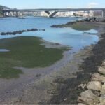 Le dragage de la rivière Lérez est retardé en raison de nouvelles études environnementales exigées par le gouvernement malgré la pression de la Xunta de Galicia