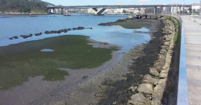 El dragado del río Lérez se retrasa por nuevos estudios ambientales exigidos por el Gobierno