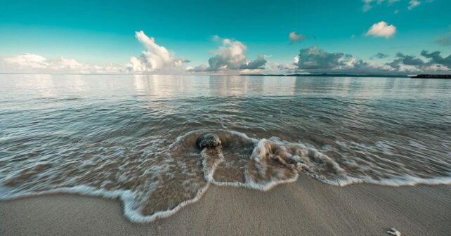 terremoto de magnitud siete y medio en Japón activa alerta de tsunami