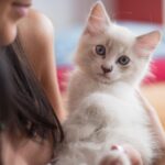 Les bienfaits du ronronnement des chats expliquent pourquoi ils réduisent le stress et améliorent l'humeur