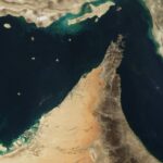 Les biologistes mettent en garde : la fermeture du détroit d'Ormuz tue des milliers de poissons et les baleines à bosse sont en grave danger