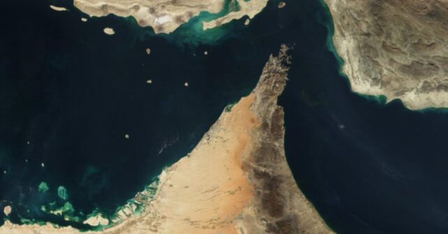 Vista satelital del Estrecho de Ormuz con tráfico marítimo en una zona clave para ballenas y fauna marina.