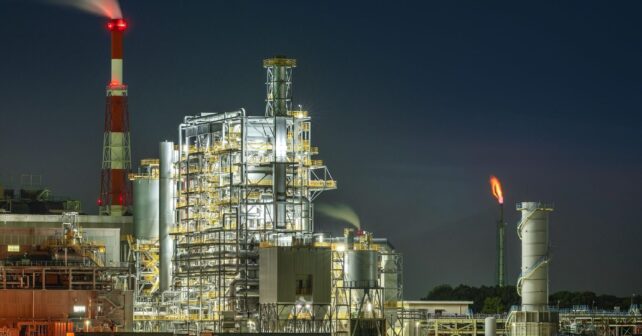 Las centrales de combustibles fósiles matan 30 veces más aves que los parques eólicos según la Comisión Europea
