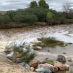 Les écologistes dénoncent la pression agricole et minière qui bloque la récupération du fleuve Guadiamar à Doñana
