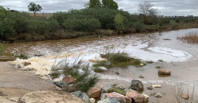 ecologistas denuncian presión agrícola y minera bloquea recuperación del río Guadiamar en Doñana