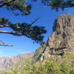 Les îles Canaries relancent de toute urgence la loi sur la biodiversité et les ressources naturelles avec un nouveau cadre juridique complet