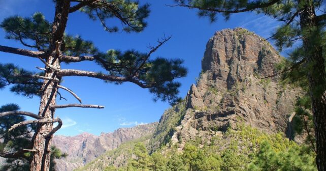 Canarias reinicia ley de biodiversidad y recursos naturales por vía urgente