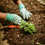 Les jardiniers experts sont d'accord : ce sont les plantes que vous devriez mettre dans le jardin pour effrayer les rongeurs