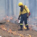 Les pompiers forestiers intensifient la prévention des incendies face à un été à haut risque en Espagne après les pluies et l'augmentation de la végétation