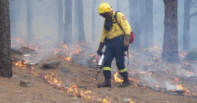 Los bomberos forestales intensifican la prevención de incendios ante un verano de alto riesgo en España