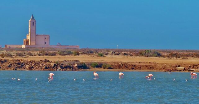 Salinas de Cabo de Gata completamente secas sin presencia de agua ni aves
