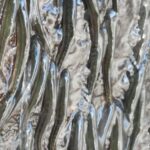 Les scientifiques n'arrivent pas à y croire : ils découvrent une nouvelle espèce de petit poisson capable de gravir des cascades de 10 mètres