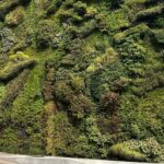 Madrid installera des jardins verticaux sur la M-30 pour améliorer l'air et réduire la chaleur à la hauteur du pont Ventas