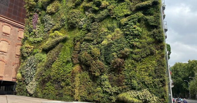 Madrid instalará jardines verticales en la M-30 para mejorar el aire y reducir el calor