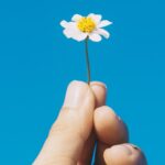 Manifeste pour la restauration de la nature en Espagne : plus de 100 organisations mettent en garde contre un grave revers environnemental