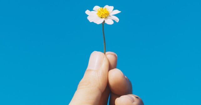 manifiesto por la restauración de la naturaleza en España movilización ambiental ciudadana