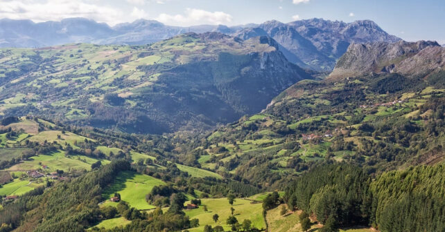 Nueva norma foral de montes en Bizkaia con paisaje forestal mixto y plantaciones de eucalipto