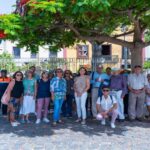 Projets à Tenerife aujourd'hui : des parcours d'arbres uniques en 2026 avec des visites guidées pour découvrir la biodiversité urbaine