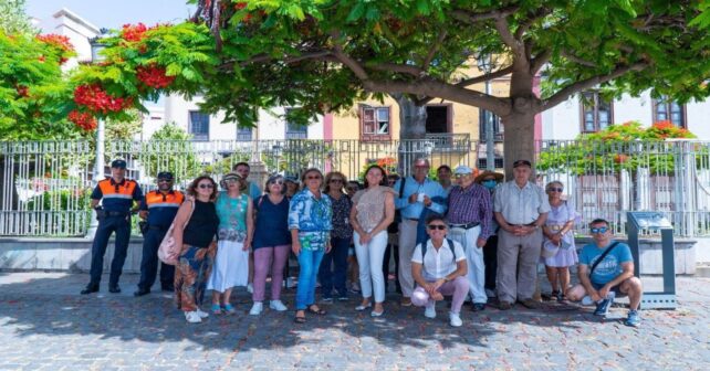 Planes en Tenerife hoy: rutas de árboles singulares en 2026 con visitas guiadas
