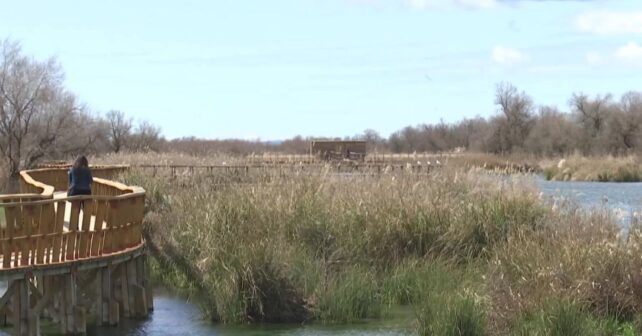 restauración de humedales en Doñana para recuperar la biodiversidad