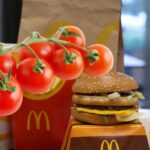 Un expert en jardinage plante les graines d'une tomate McDonald's et ce qui pousse en dit long sur ce que nous mangeons